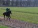 Rennwiese1